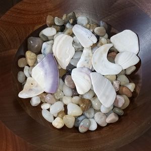 Small river rock shell mix - 286